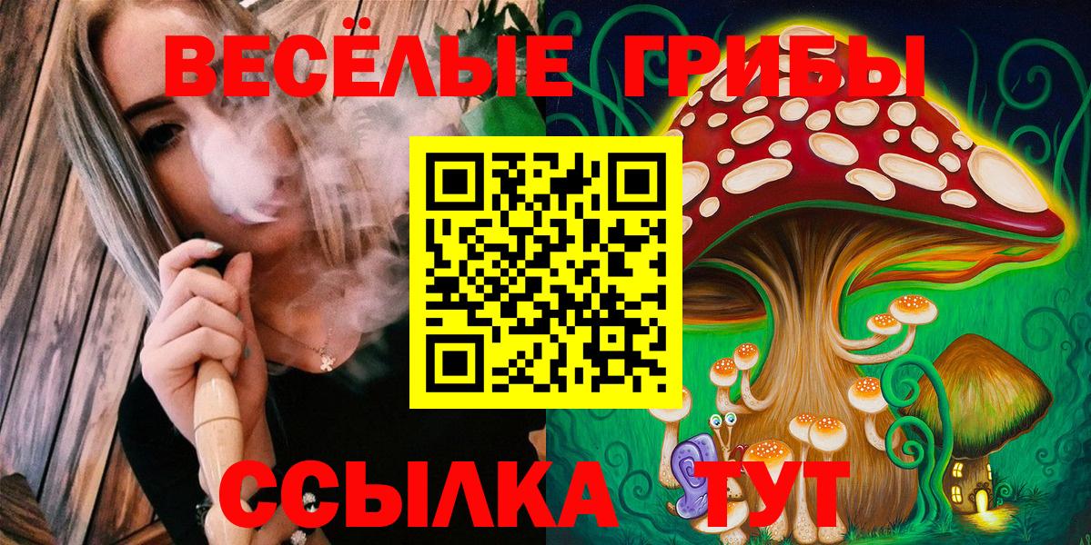 Псилоцибиновые грибы мухоморы Иваново