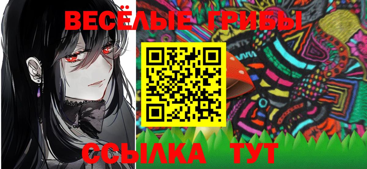 Галлюциногенные грибы Psilocybine cubensis  Галлюциногенные грибы мицелий  Иваново  Вход с VPN 